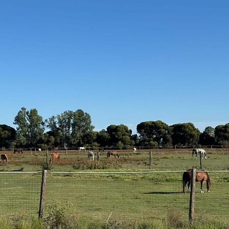Lazy River Motor Inn Swan Hill Exteriér fotografie