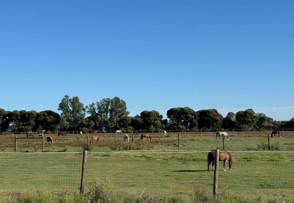 Lazy River Motor Inn Swan Hill Exteriér fotografie